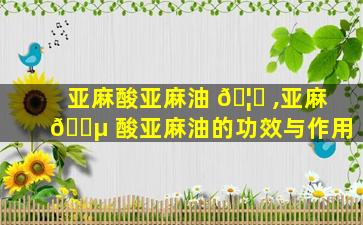 亚麻酸亚麻油 🦟 ,亚麻 🌵 酸亚麻油的功效与作用